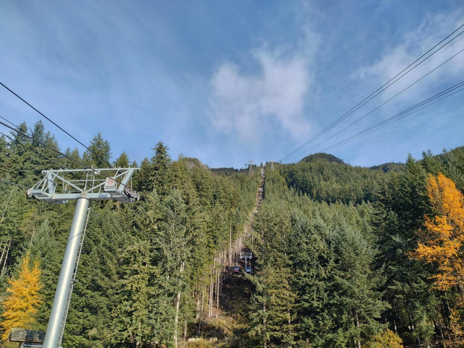 ゴンドラメディア (11)